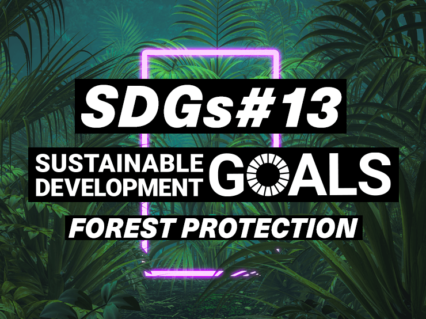 【連載:SDGs】バーチャル・コンテンツで学ぶ森林破壊の現状と対策